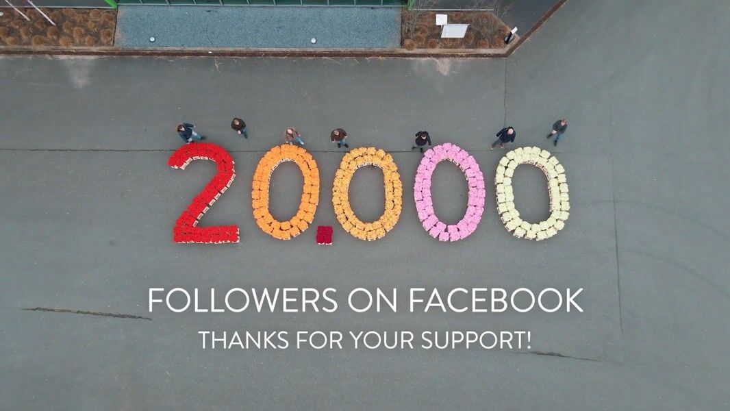 Holstein - 20.000 volgers op Facebook
